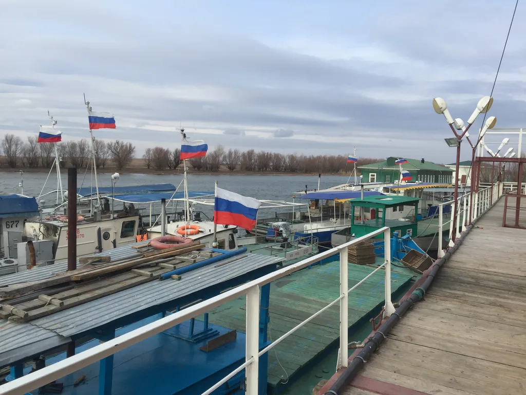речная рыба экспорт в зарубежные страны! в Астрахани