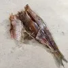 рыба Вобла  в Астрахани 3