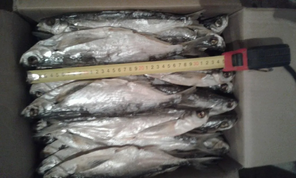 вяленая рыба от производителя в Астрахани и Астраханской области 6