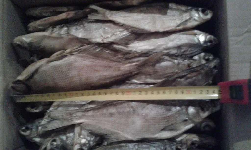 вяленая рыба от производителя в Астрахани и Астраханской области 2