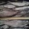 вяленая рыба от производителя в Астрахани и Астраханской области 2