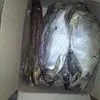 астраханская вяленая рыба щука 265р в Астрахани и Астраханской области 3