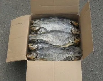 икра Щуки Чёрная в Астрахани 5