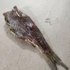 рыба Вобла  в Астрахани
