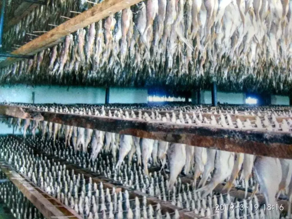 продажа рыбного бизнеса, недвижимости  в Астрахани 9