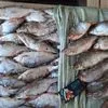 закупаем Казахстанскую Рыбу у добытчиков в Ростове-на-Дону