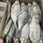 вяленая Рыба:лещ,рыбец,вобла  в Астрахани