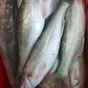 свежемороженная рыба судак в Астрахани