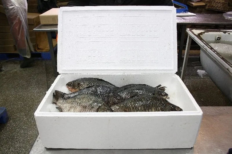 термоящики для рыбной продукции в Астрахани 2